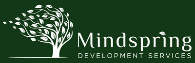 Mindspring testing